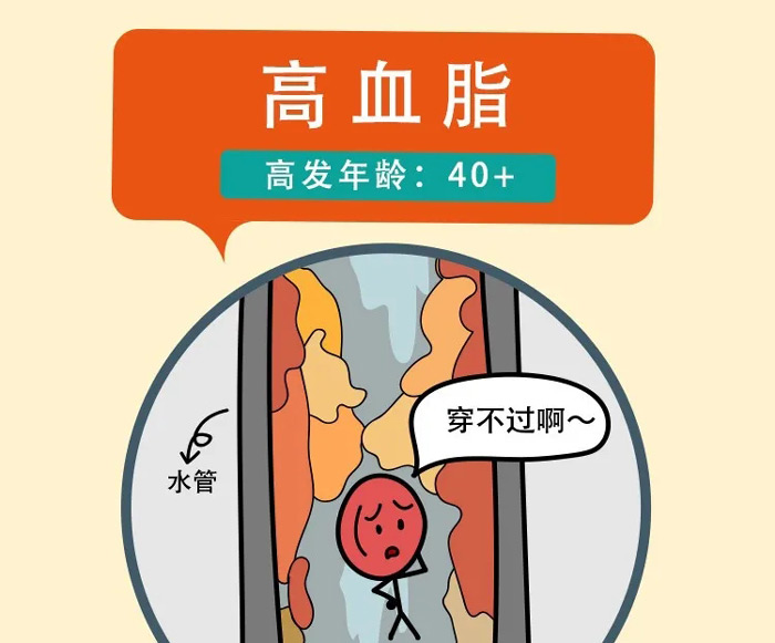 Ѫ֬߷䣺40+