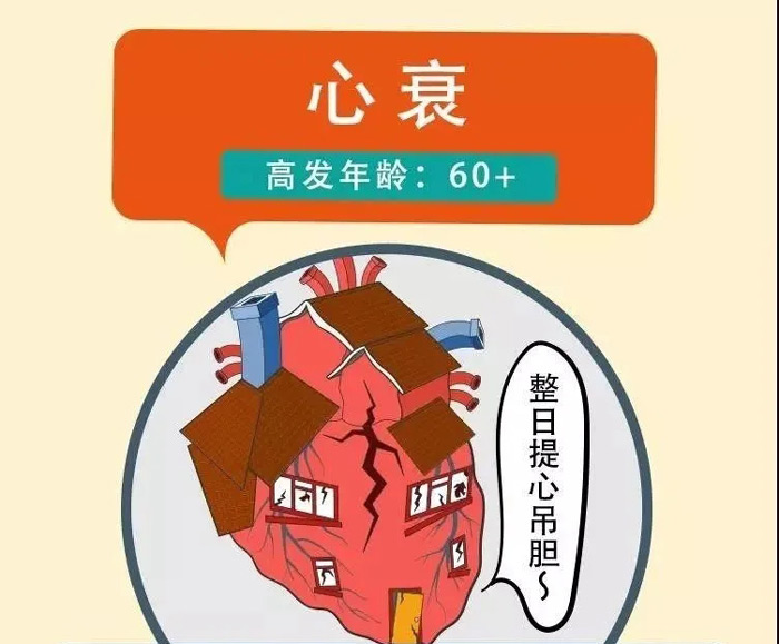 ˥߷䣺60+