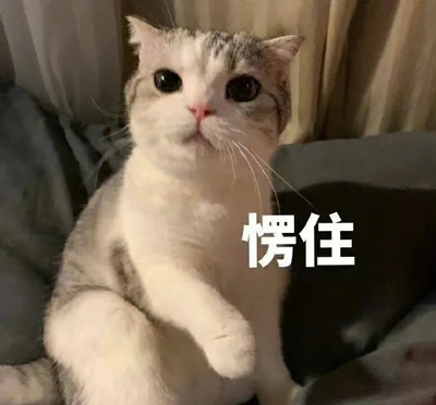 超强冷空气来袭,请注意预防这类呼吸道疾病! 超强冷空气来袭,请注意预防这类呼吸道疾病!