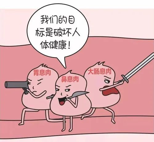 Ϣ