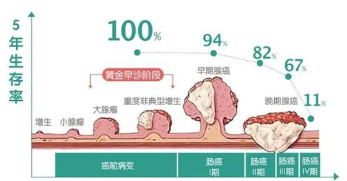 Ϣ仯