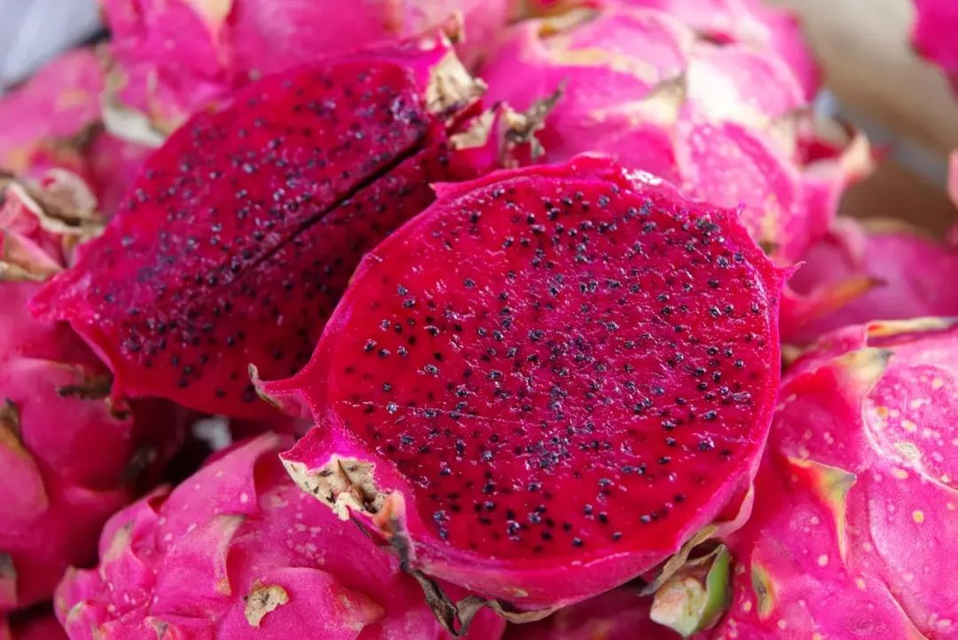Ļ
