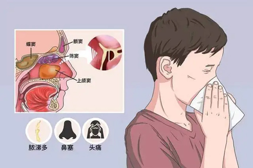 ÷꼾ڣСıӻᡰù