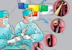 ÷꼾ڣСıӻᡰù