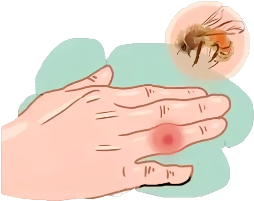 67ũ䡰Χһǣ