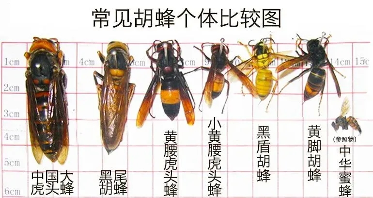 67ũ䡰Χһǣ