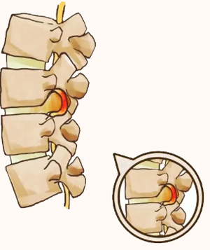 ¡ͬУΪݻ