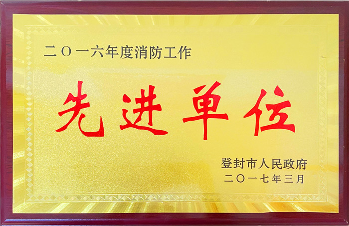 2016年度消防工作先进单位